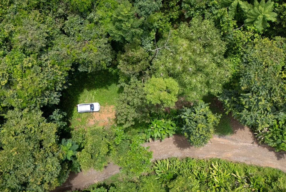 JUNGLE PROPERTY IN UVITA – 0.7 ACRES, photo 14