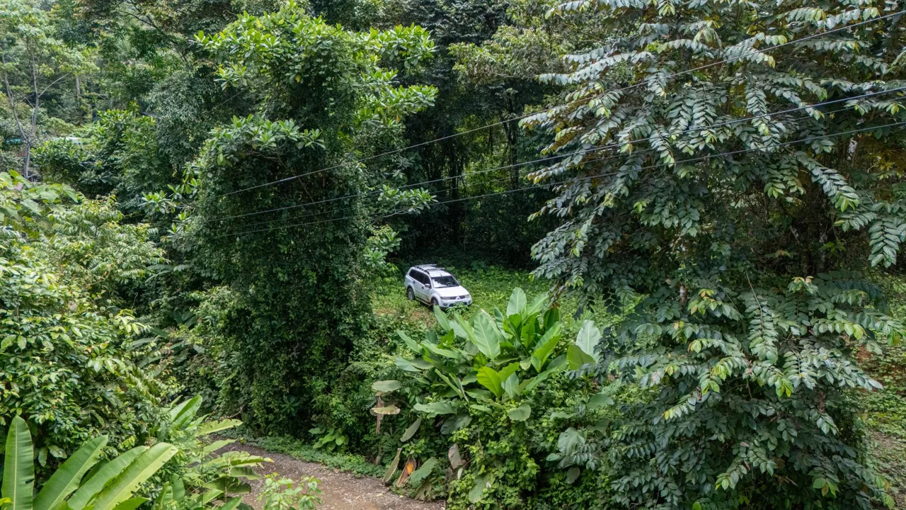 JUNGLE PROPERTY IN UVITA – 0.7 ACRES, photo 15