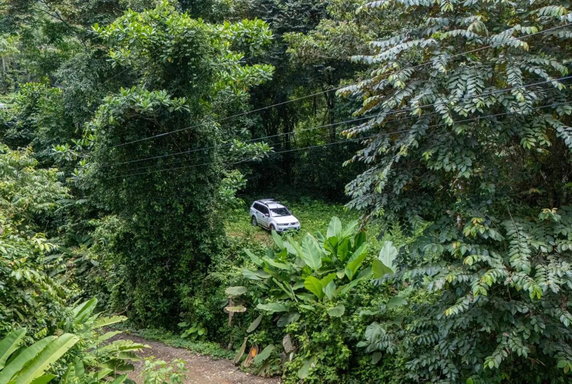 JUNGLE PROPERTY IN UVITA – 0.7 ACRES, photo 16