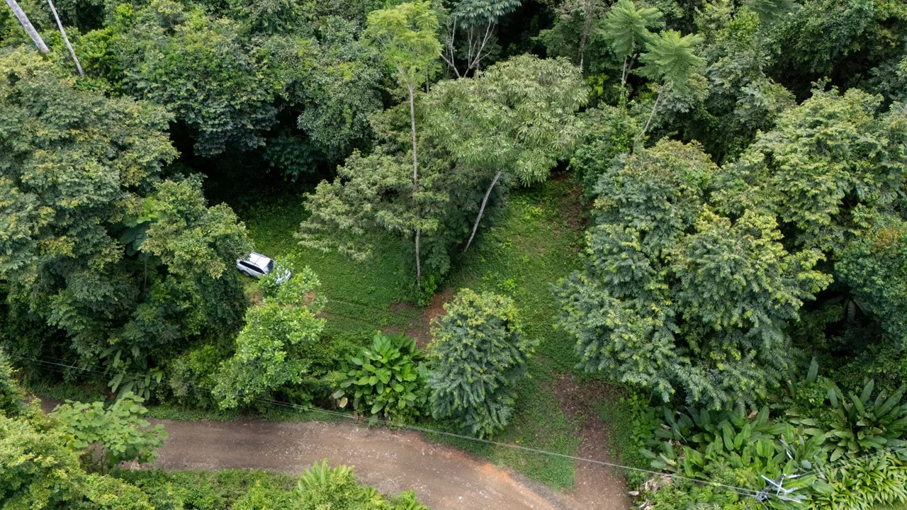 JUNGLE PROPERTY IN UVITA – 0.7 ACRES, photo 3