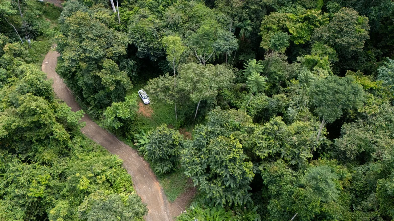 JUNGLE PROPERTY IN UVITA – 0.7 ACRES, photo 5