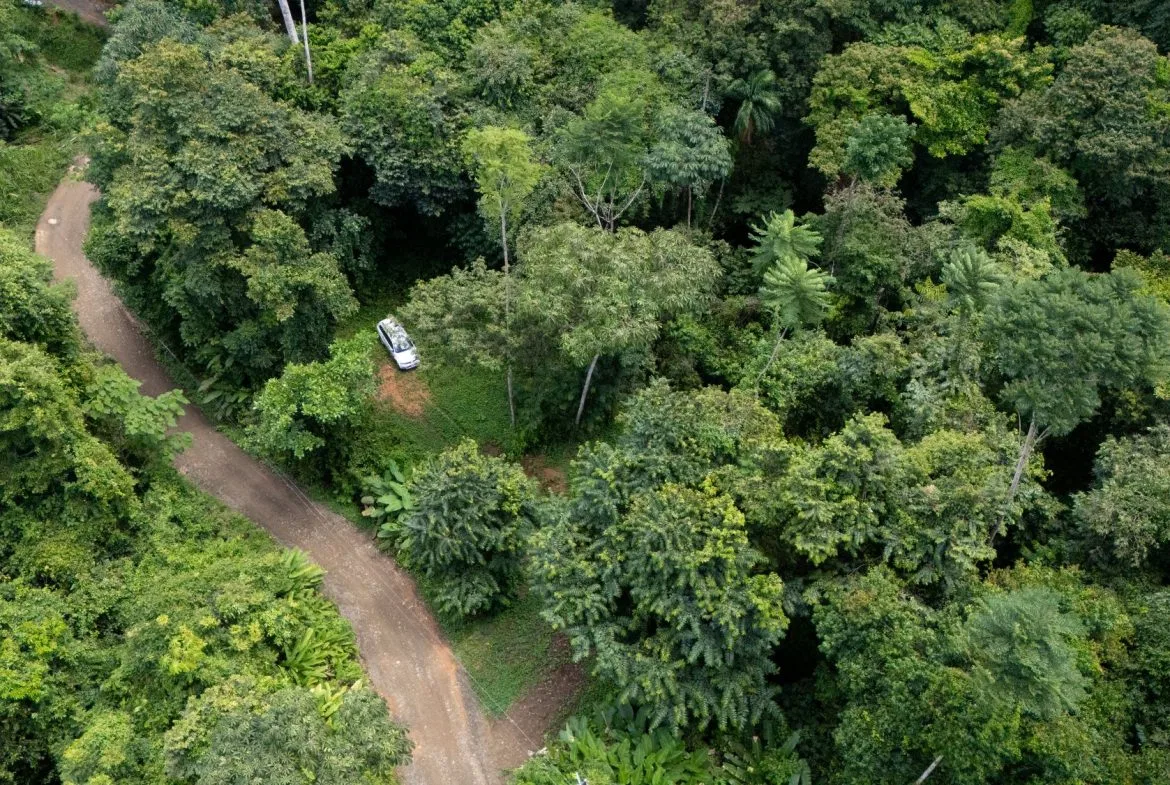 JUNGLE PROPERTY IN UVITA – 0.7 ACRES, photo 6