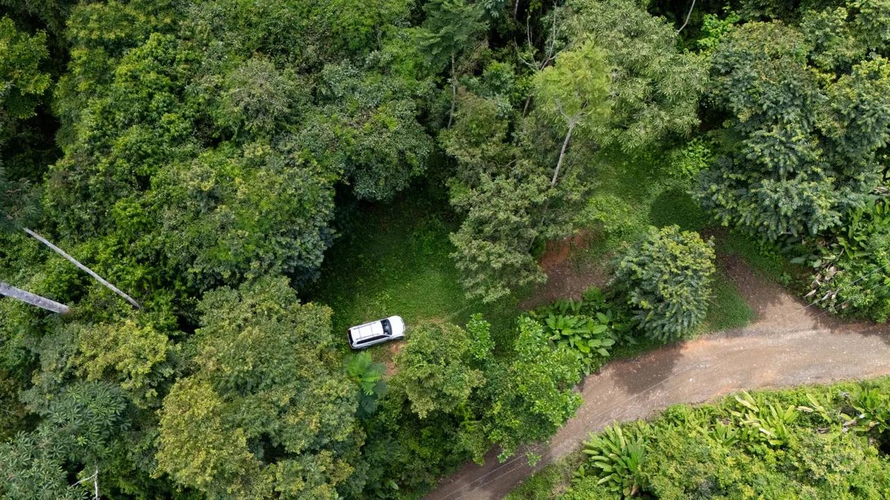 JUNGLE PROPERTY IN UVITA – 0.7 ACRES, photo 7