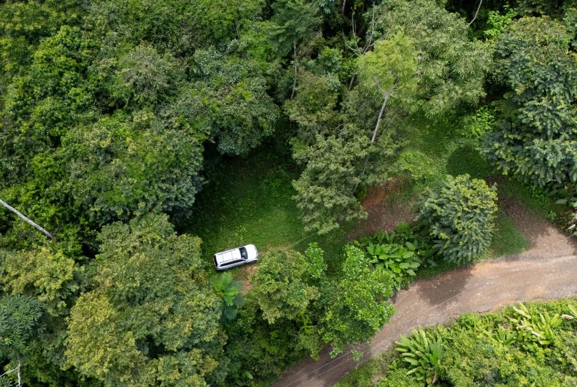 JUNGLE PROPERTY IN UVITA – 0.7 ACRES, photo 8
