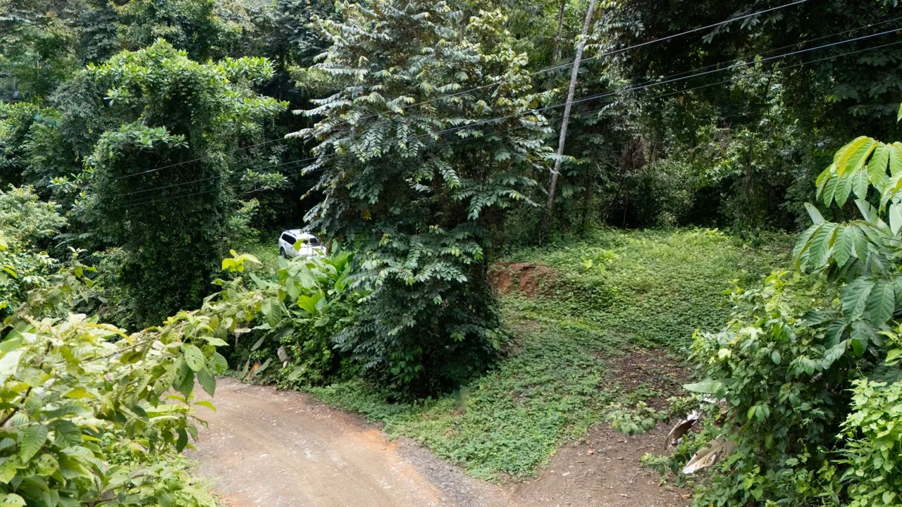 JUNGLE PROPERTY IN UVITA – 0.7 ACRES, photo 9