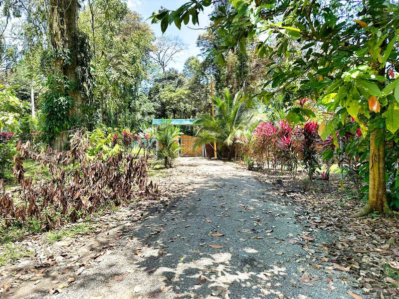 4 Bed Single Family Homes For Sale in Puerto Viejo, photo 5