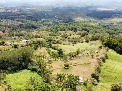 Finca 1 con las mejores vistas, photo 3