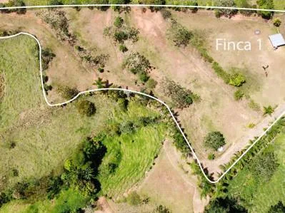 Finca 1 con las mejores vistas, photo 4