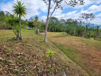 Finca 1 con las mejores vistas, photo 6
