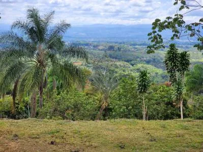 Finca 1 con las mejores vistas, photo 9