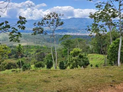 Finca 1 con las mejores vistas, photo 10