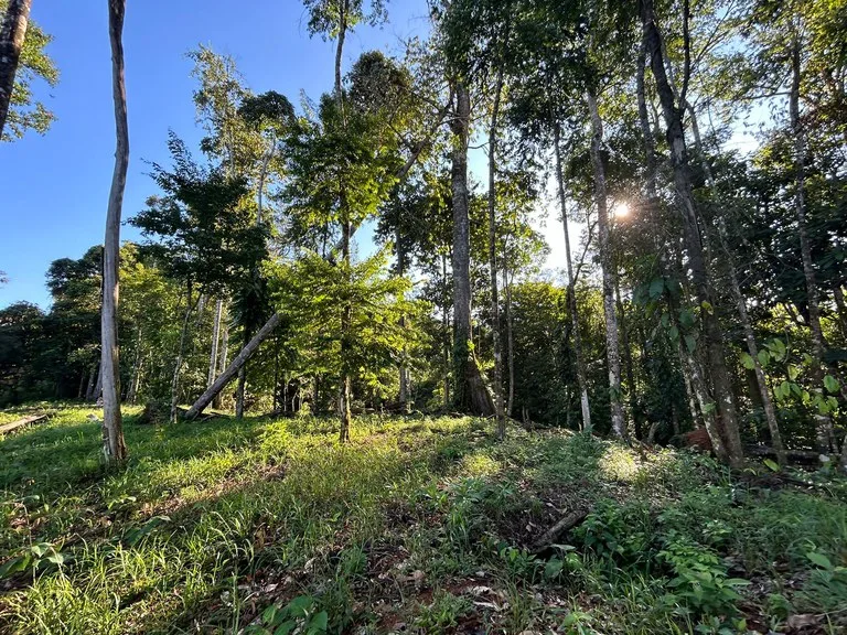 Marvelous Ocean View Parcel in Uvita., photo 11