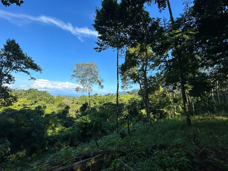 Marvelous Ocean View Parcel in Uvita., photo 12