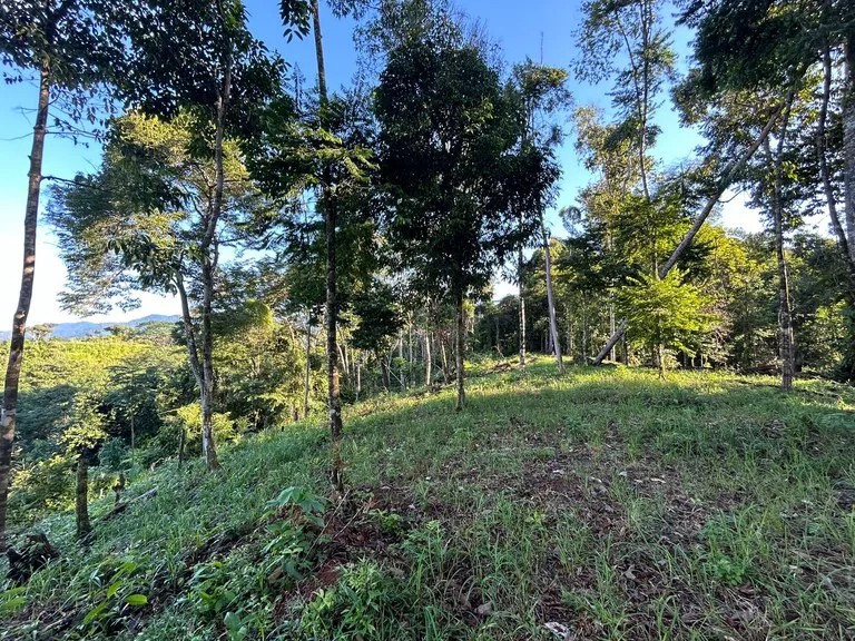 Marvelous Ocean View Parcel in Uvita., photo 13