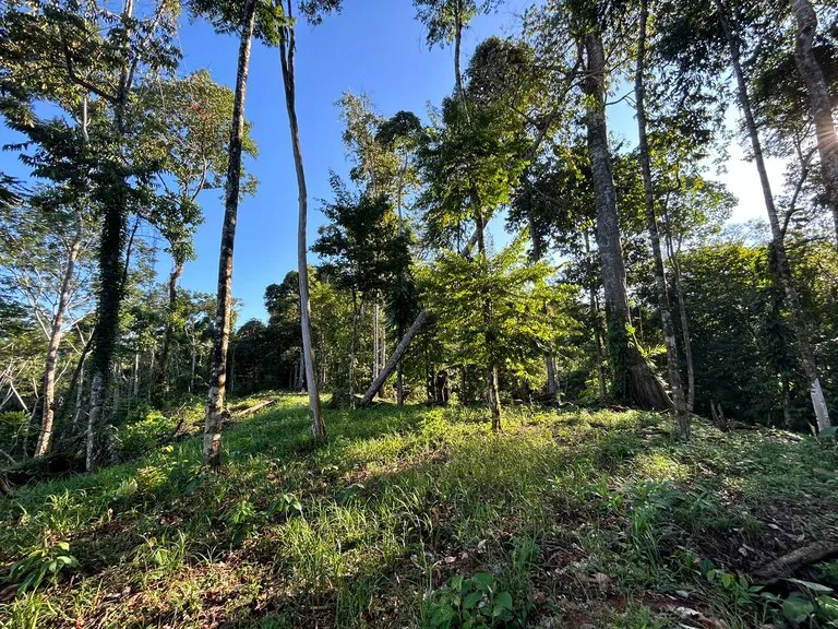 Marvelous Ocean View Parcel in Uvita., photo 14