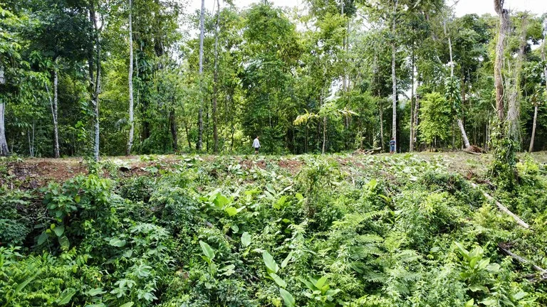 Marvelous Ocean View Parcel in Uvita., photo 5