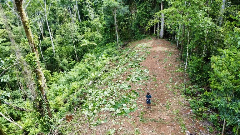 Marvelous Ocean View Parcel in Uvita., photo 6