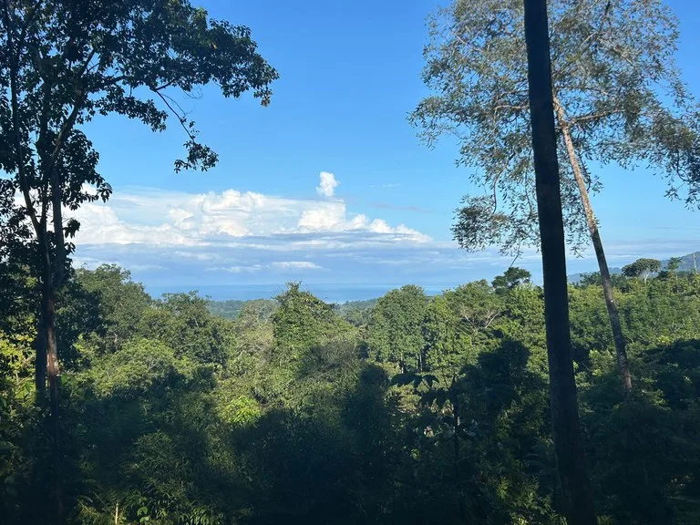 Marvelous Ocean View Parcel in Uvita., photo 7