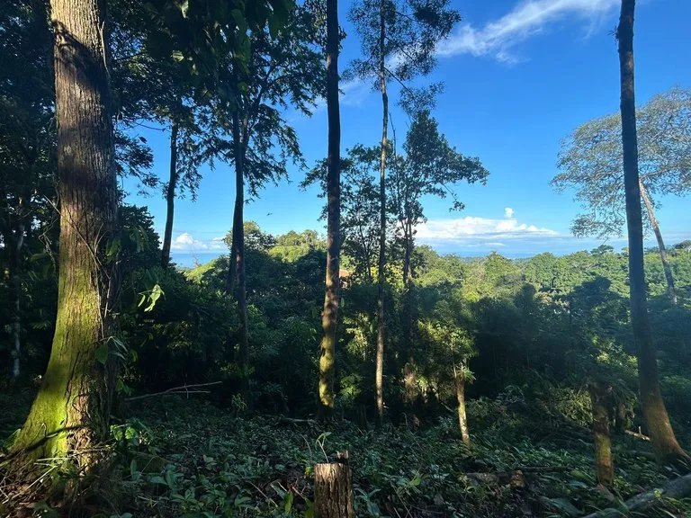 Marvelous Ocean View Parcel in Uvita., photo 9