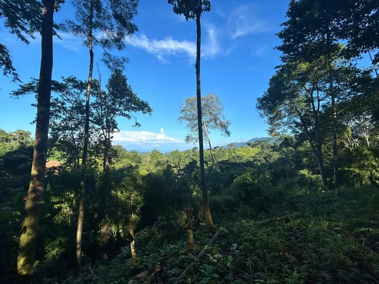 Marvelous Ocean View Parcel in Uvita., photo 10