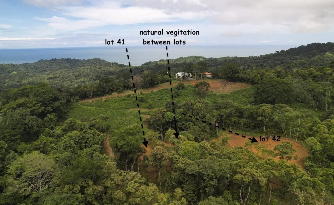 CARARA DEVELOPMENT LOTS READY TO BUILD – 1.40 ACRES, photo 2