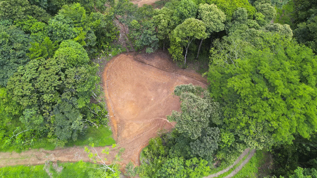 CARARA DEVELOPMENT LOTS READY TO BUILD – 1.40 ACRES, photo 3
