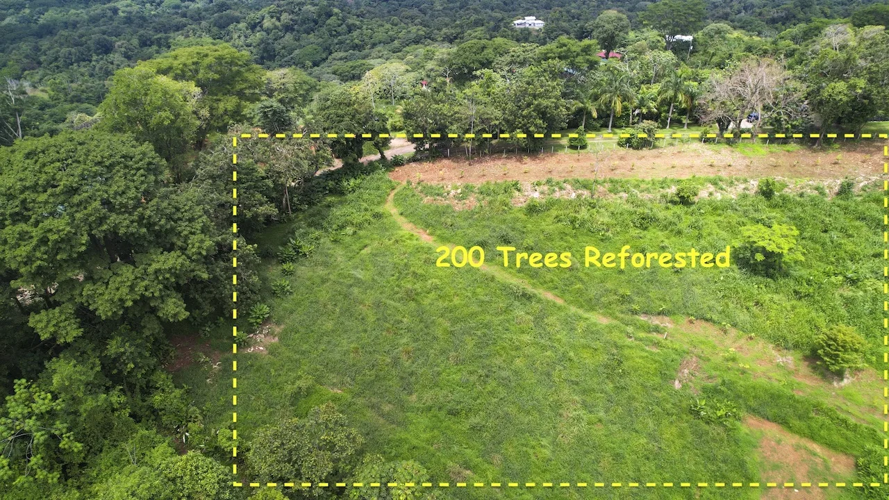 CARARA DEVELOPMENT LOTS READY TO BUILD – 1.40 ACRES, photo 7