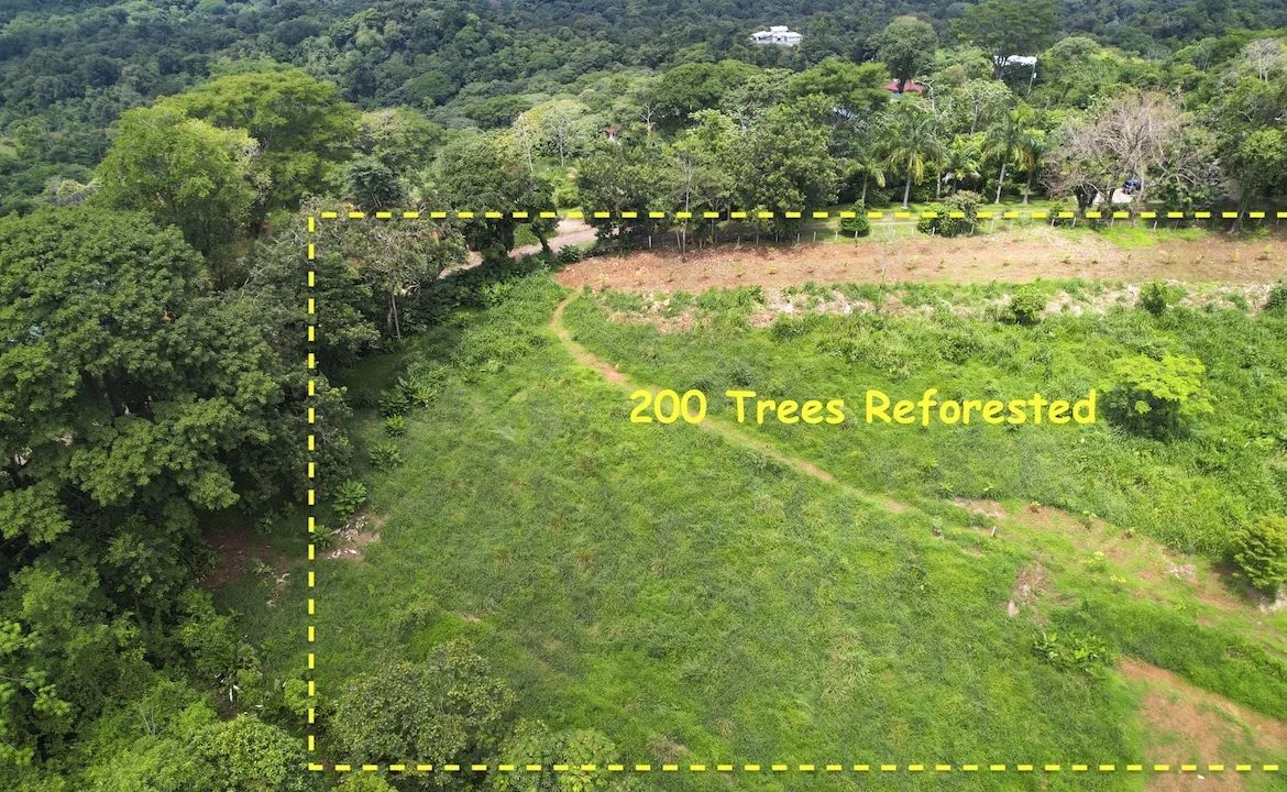 CARARA DEVELOPMENT LOTS READY TO BUILD – 1.40 ACRES, photo 8