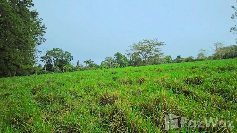 Land for Sale in Perez Zeledon, San Jose for $900,000, photo 2
