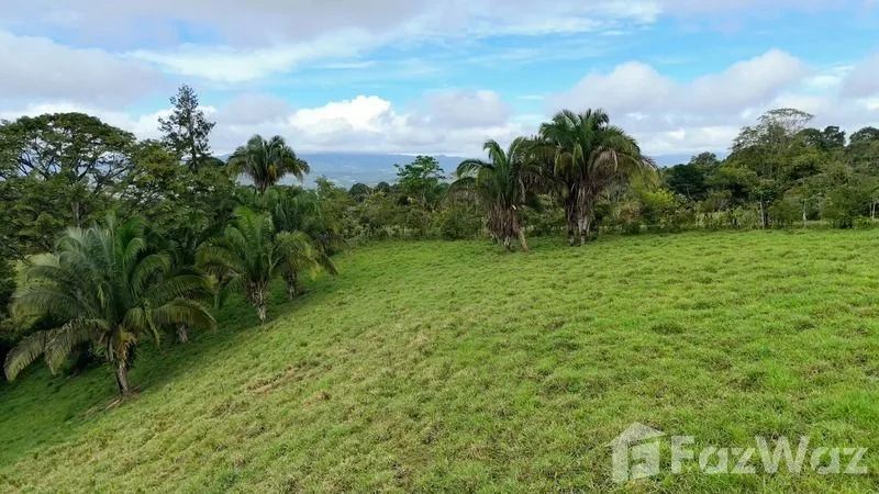 Land for Sale in Perez Zeledon, San Jose for $900,000, photo 12