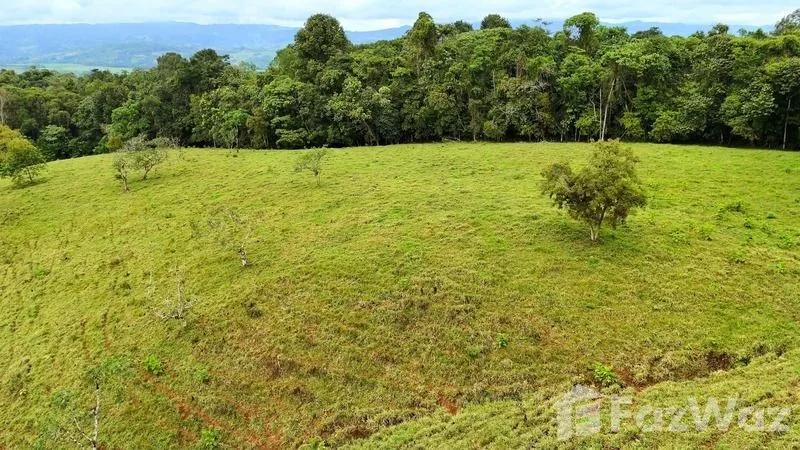 Land for Sale in Perez Zeledon, San Jose for $900,000, photo 13