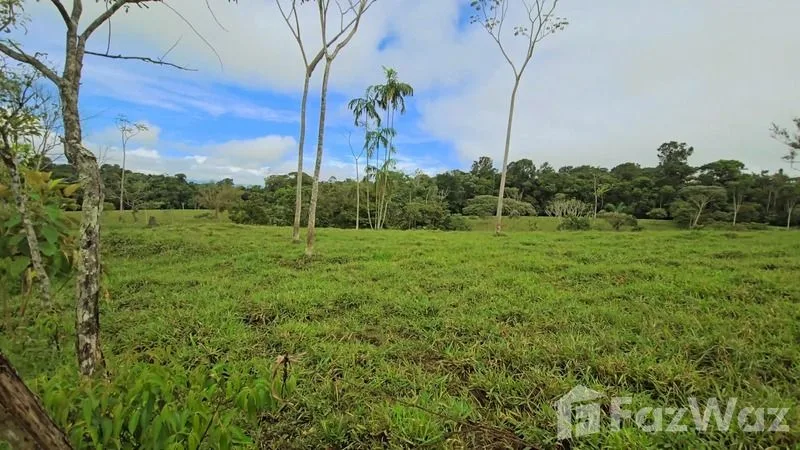 Land for Sale in Perez Zeledon, San Jose for $900,000, photo 14