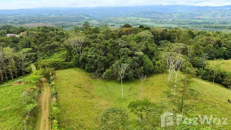 Land for Sale in Perez Zeledon, San Jose for $900,000, photo 15