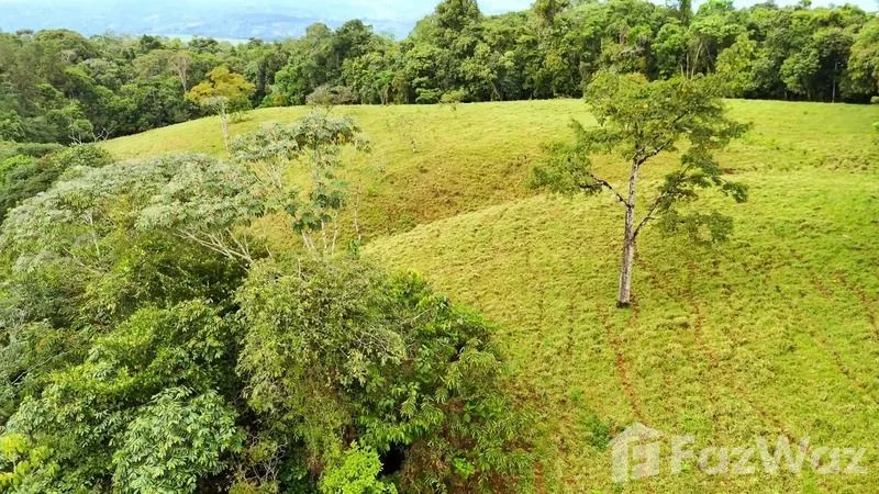Land for Sale in Perez Zeledon, San Jose for $900,000, photo 3