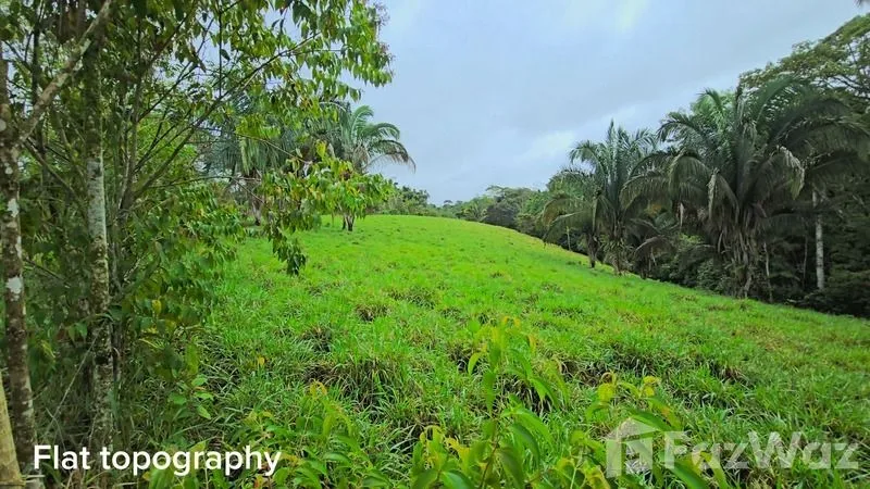Land for Sale in Perez Zeledon, San Jose for $900,000, photo 6