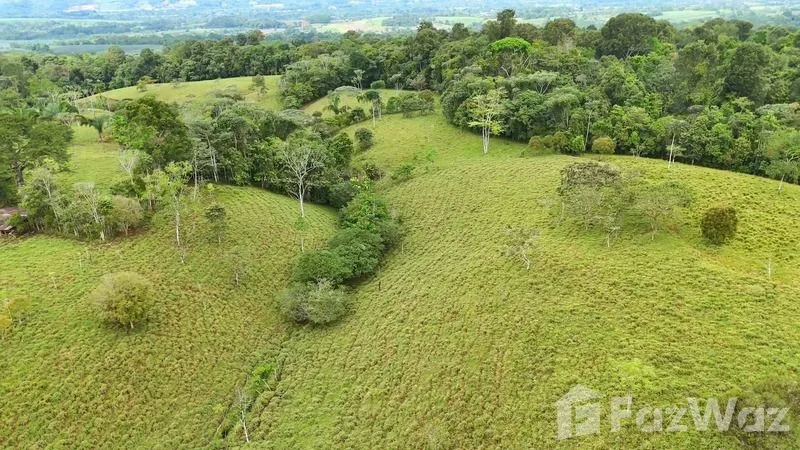 Land for Sale in Perez Zeledon, San Jose for $900,000, photo 7