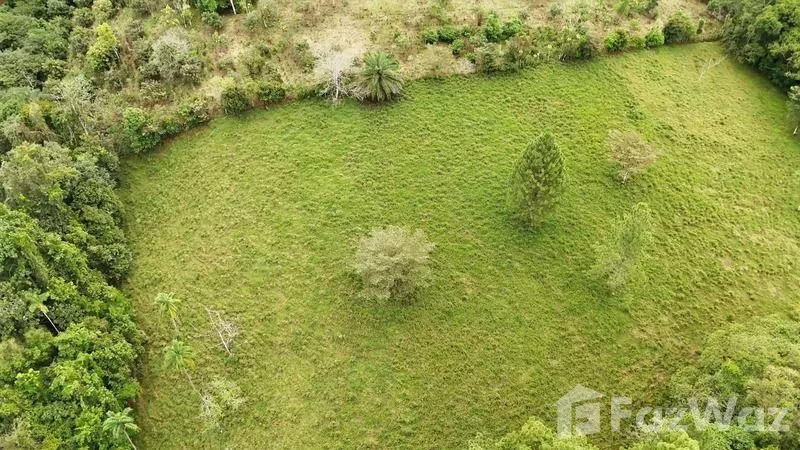 Land for Sale in Perez Zeledon, San Jose for $900,000, photo 9