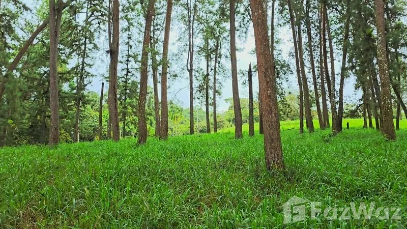Land for Sale in Perez Zeledon, San Jose for $900,000, photo 10