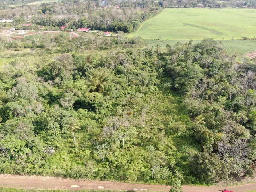 Venta de Lote en Florencia de San Carlos, Alajuela. - Venta en San Carlos