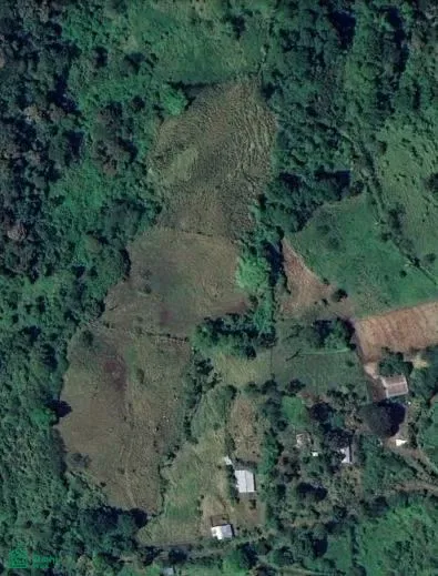 Guayabo, Turrialba, Cartago 30501