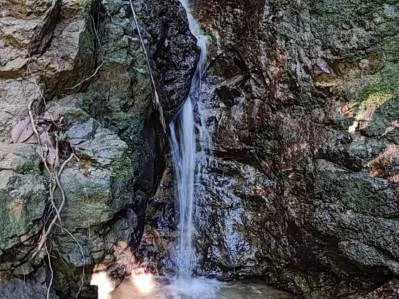 PROPERTY WITH MOUNTAIN VIEW, IN TRES RIOS – 66.7 ACRES, photo 26