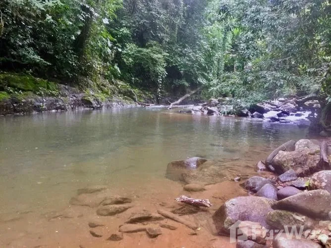 Land for Sale in Aguirre, Puntarenas for $460,000