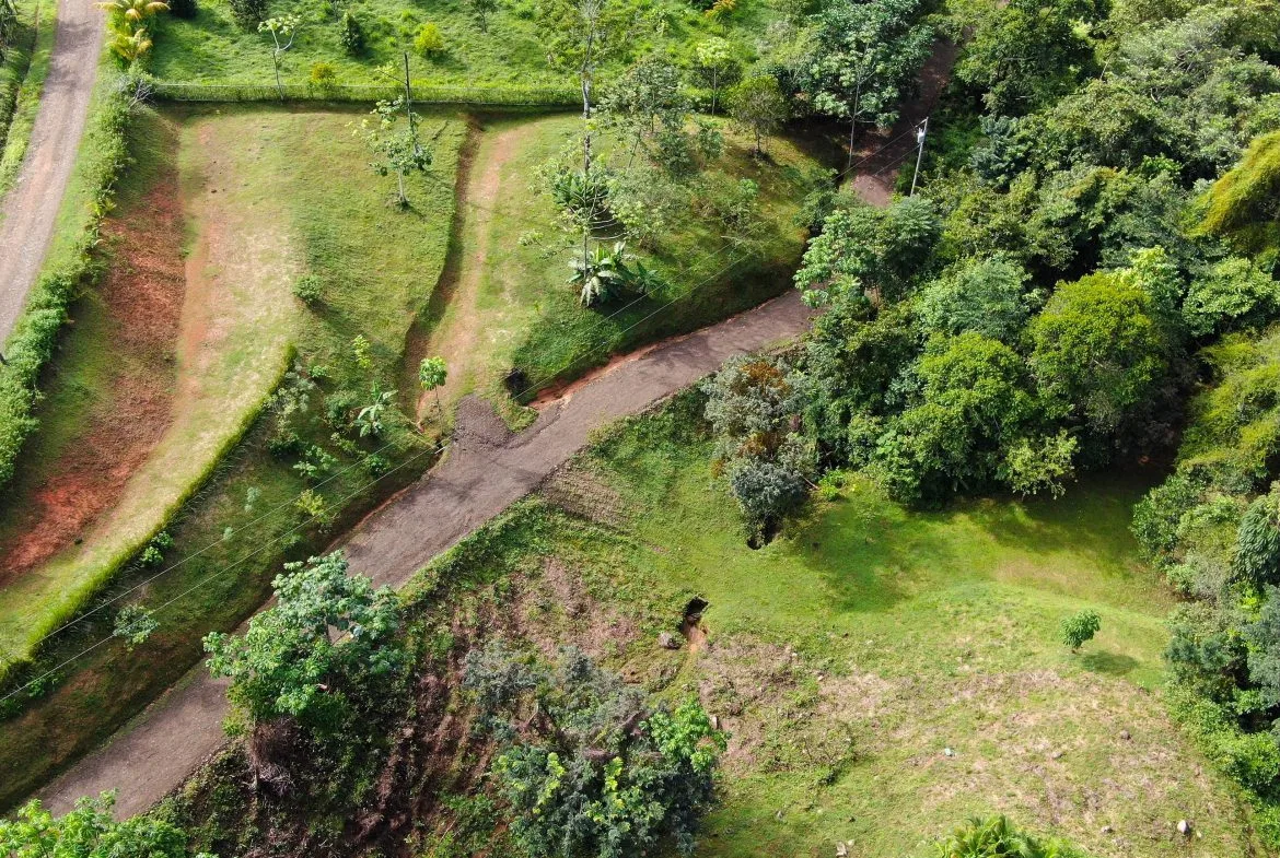 BUILDING PROPERTY WITH MOUNTAINS VIEWS, IN SAN JOSECITO – 1.8 ACRES, photo 12