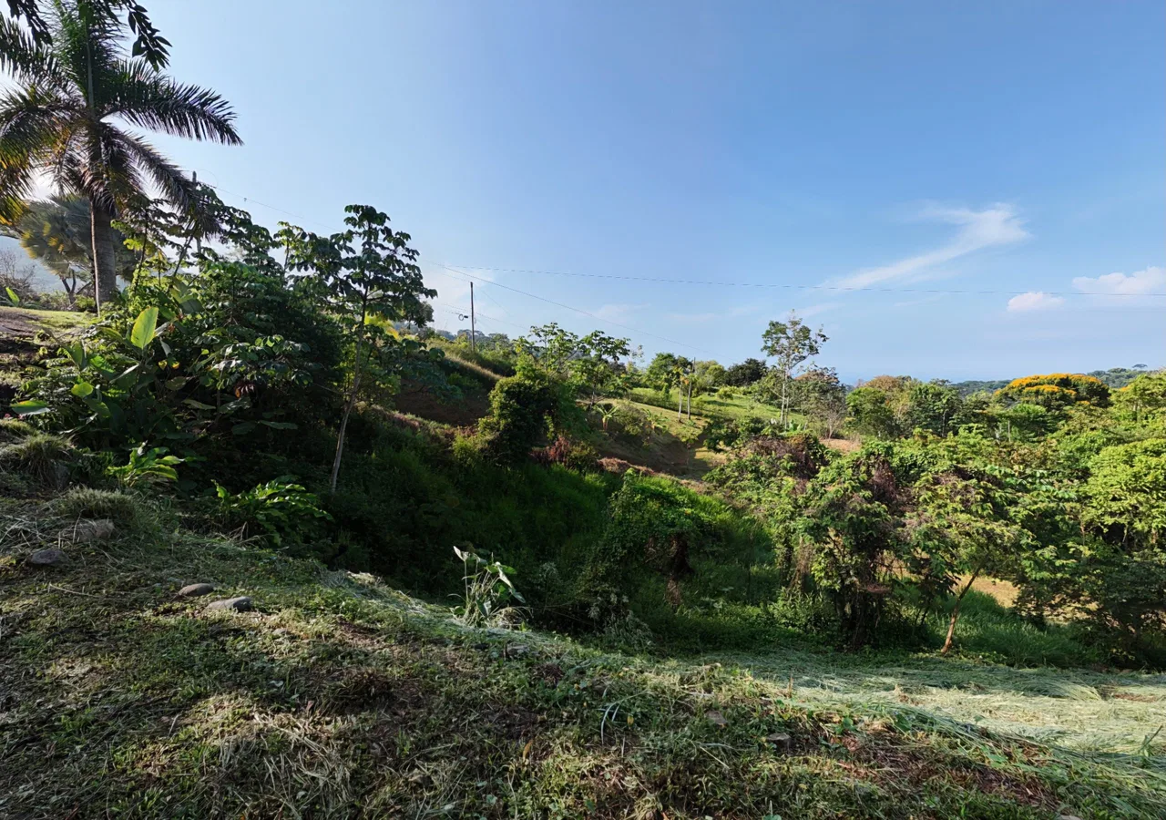 BUILDING PROPERTY WITH MOUNTAINS VIEWS, IN SAN JOSECITO – 1.8 ACRES, photo 13