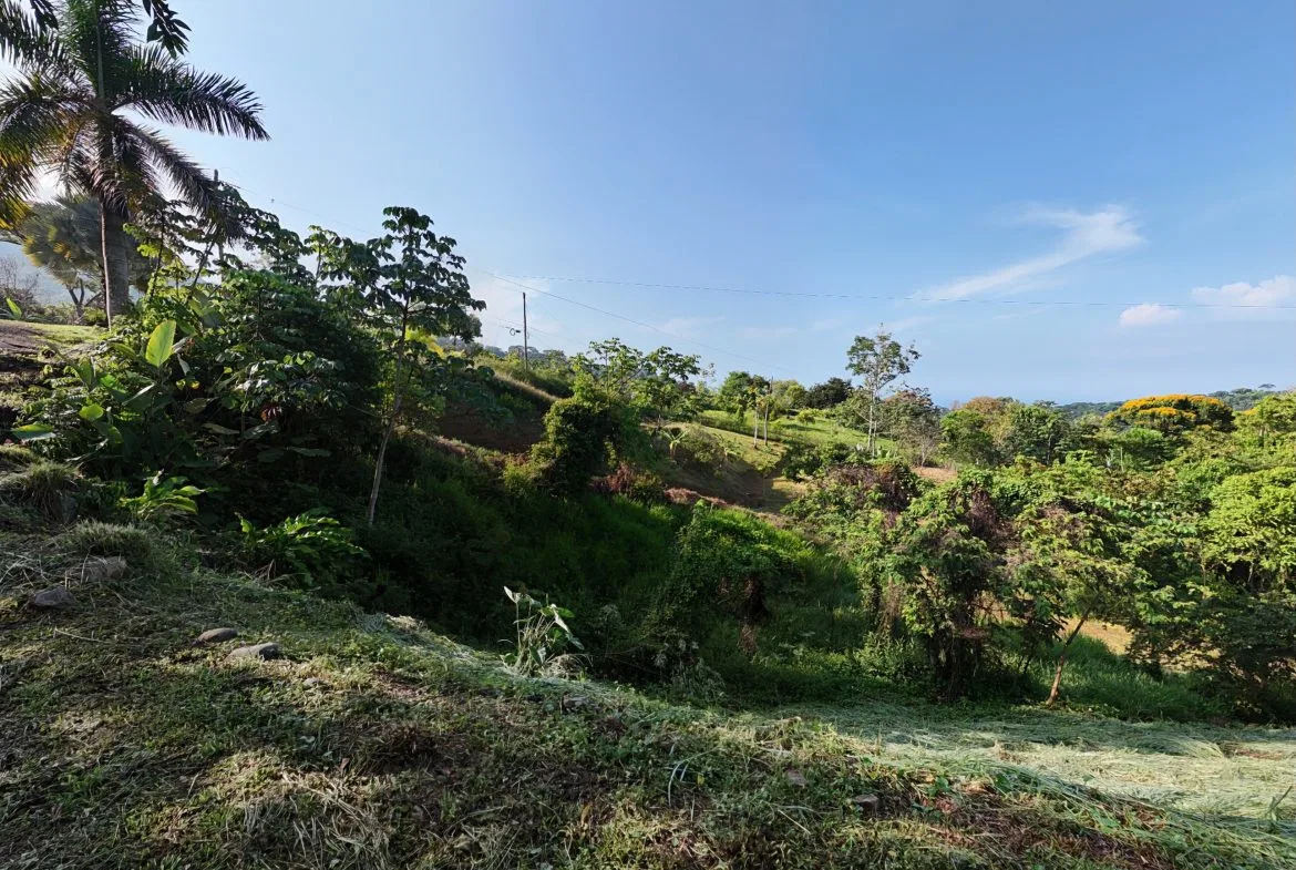 BUILDING PROPERTY WITH MOUNTAINS VIEWS, IN SAN JOSECITO – 1.8 ACRES, photo 14