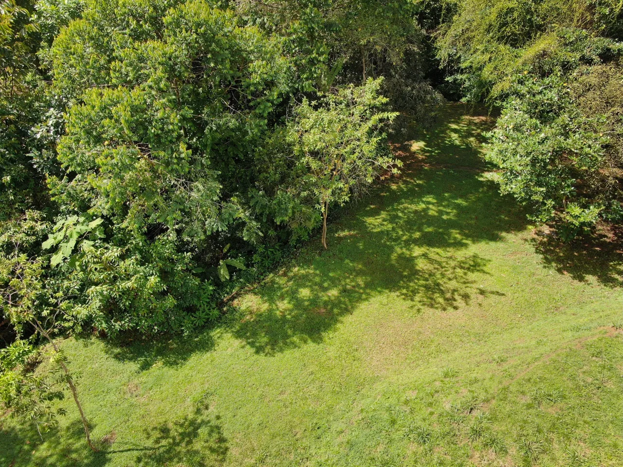 BUILDING PROPERTY WITH MOUNTAINS VIEWS, IN SAN JOSECITO – 1.8 ACRES, photo 21