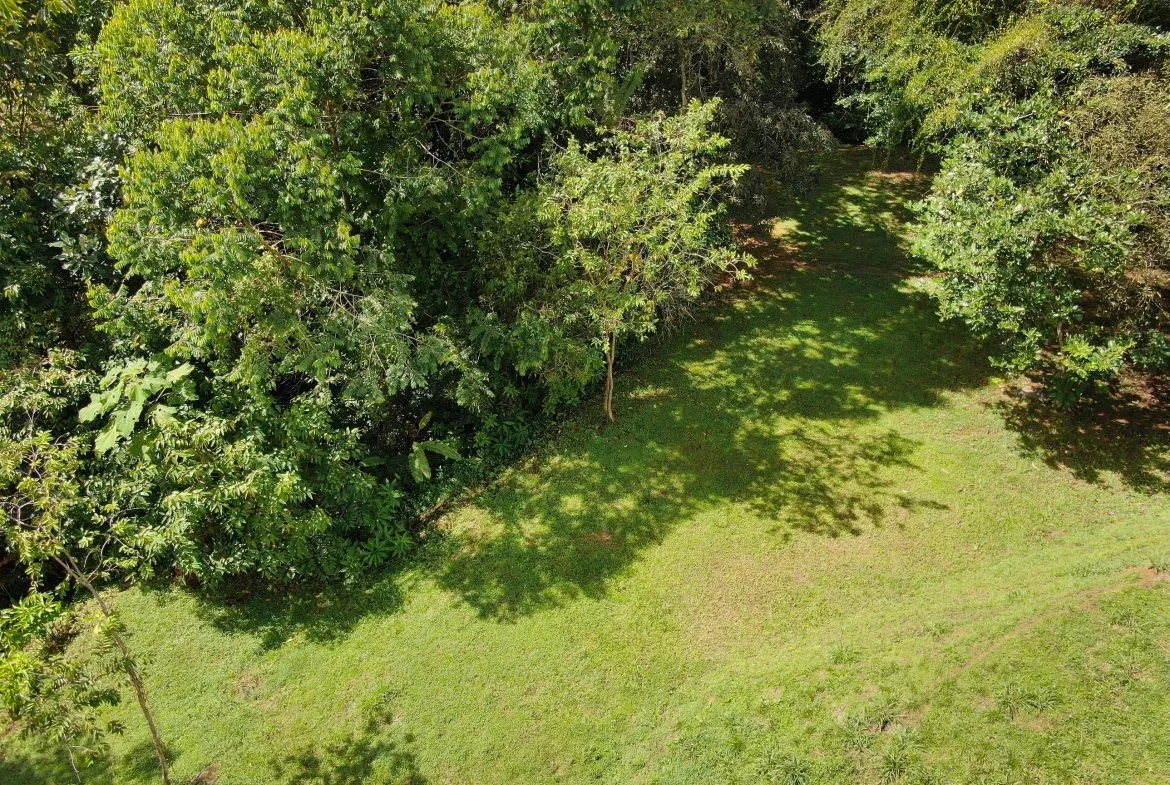 BUILDING PROPERTY WITH MOUNTAINS VIEWS, IN SAN JOSECITO – 1.8 ACRES, photo 22