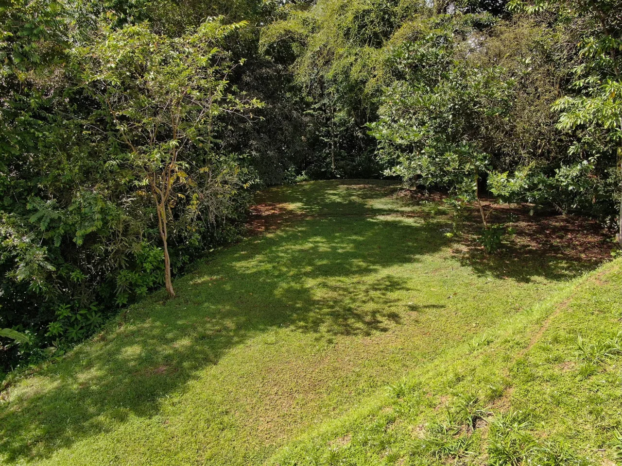 BUILDING PROPERTY WITH MOUNTAINS VIEWS, IN SAN JOSECITO – 1.8 ACRES, photo 23