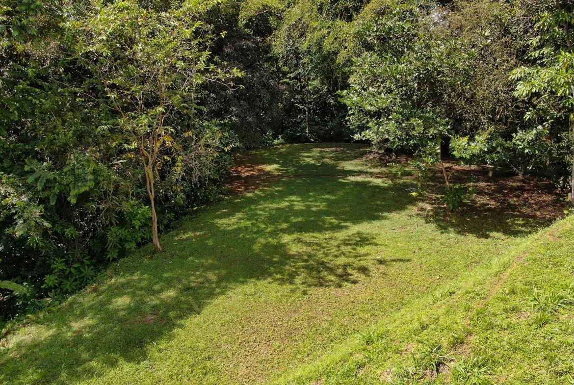 BUILDING PROPERTY WITH MOUNTAINS VIEWS, IN SAN JOSECITO – 1.8 ACRES, photo 24
