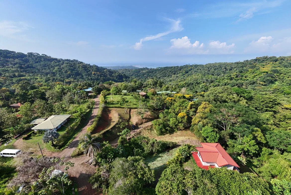 BUILDING PROPERTY WITH MOUNTAINS VIEWS, IN SAN JOSECITO – 1.8 ACRES, photo 4